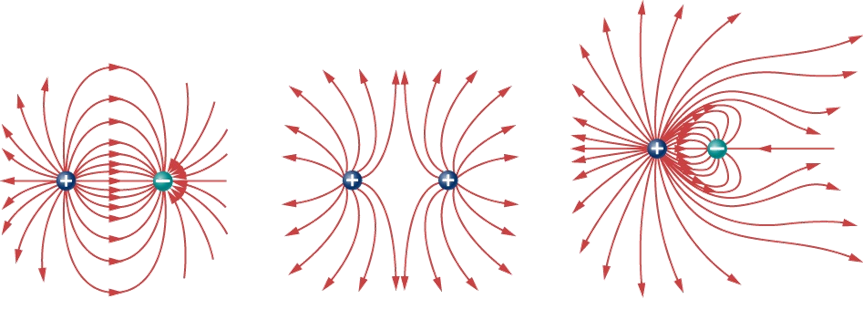 Εικόνα που περιέχει σαρανταποδαρούσα, αξεσουάρ

Περιγραφή που δημιουργήθηκε αυτόματα